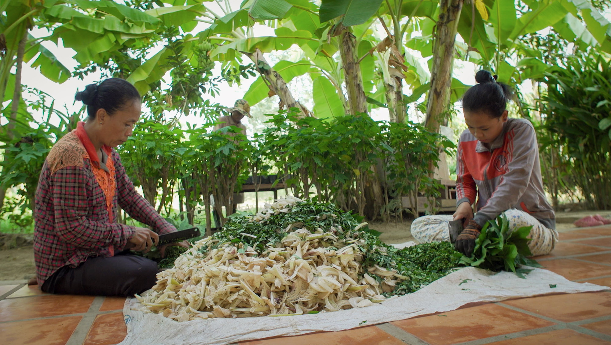 Two women prepare vegetables together outside their home.