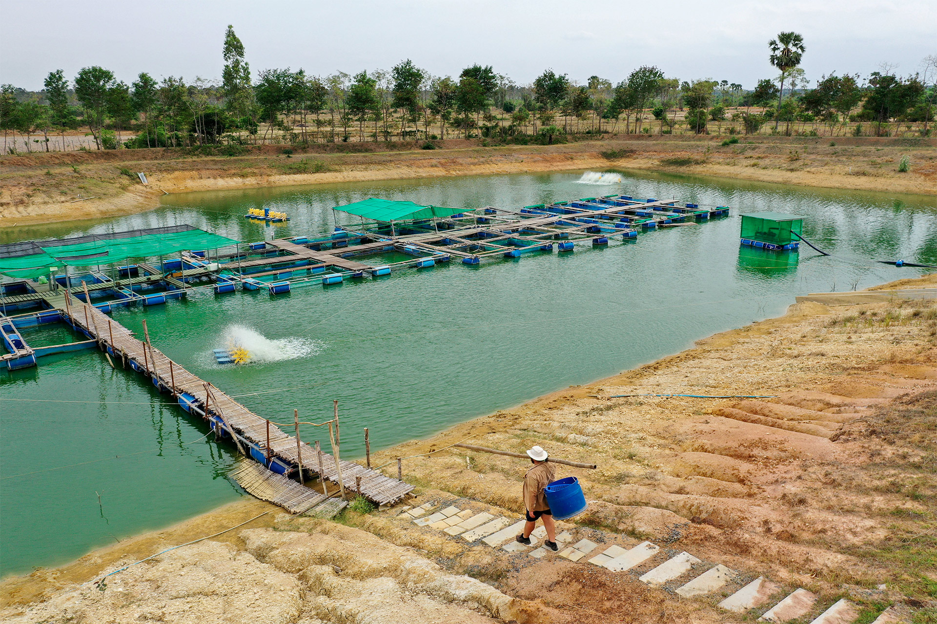 Bassin piscicole avec des enclos flottants et des passerelles.