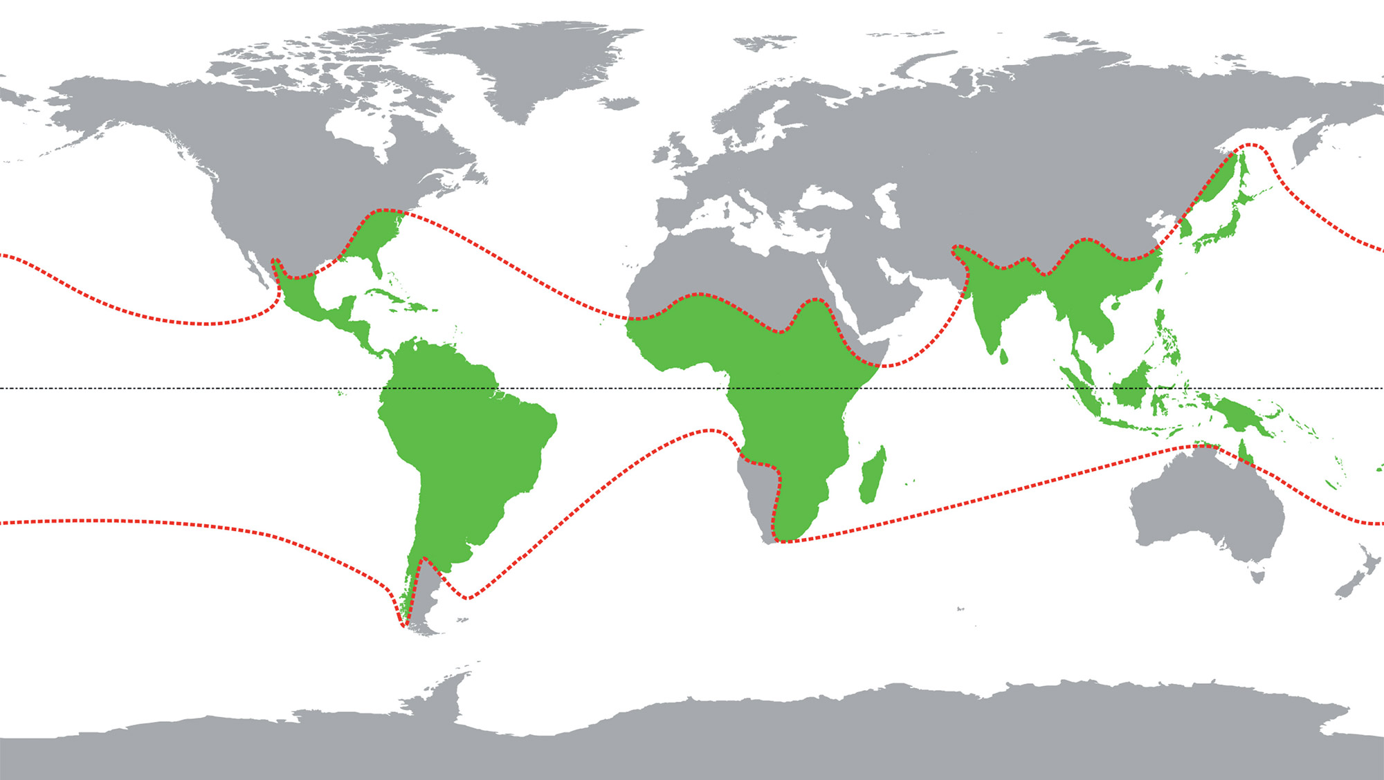 World map showing bamboo distribution, mainly in tropical and subtropical regions.