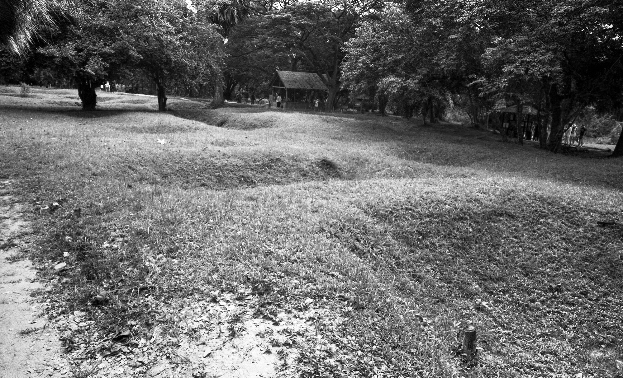 Bewachsene Bodenmulden auf dem Gelände der Killing Fields.