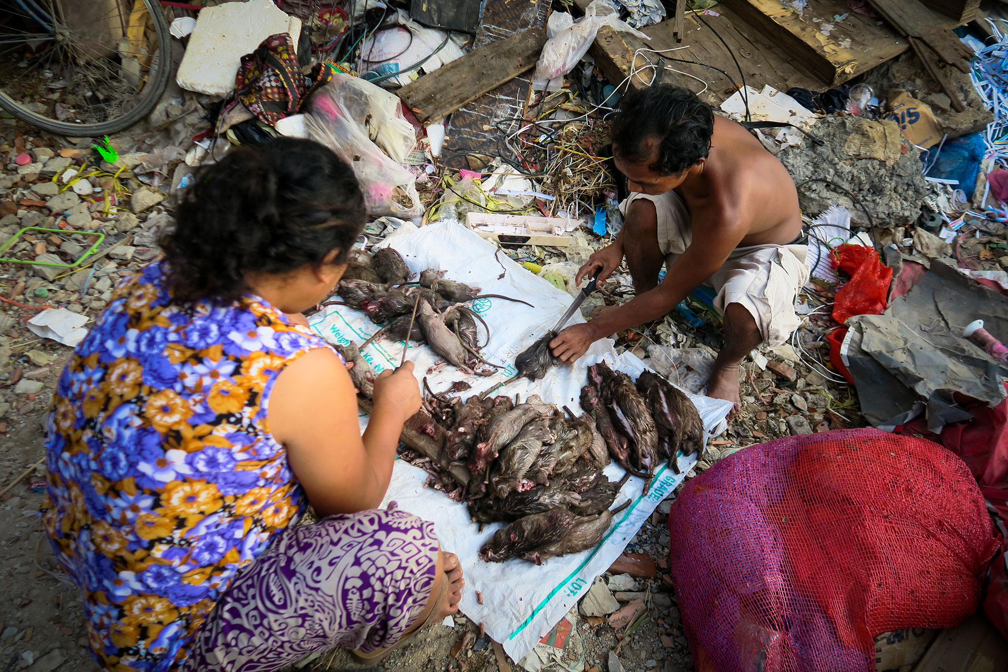Two adults prepare caught rats outside their shelter.