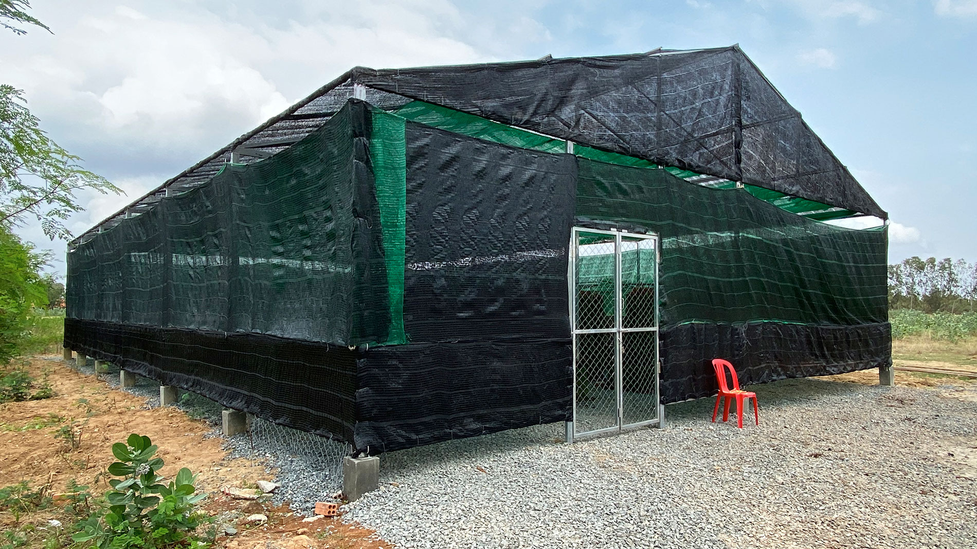 Vanilla-Charity-Agriculture-Cambodia-Greenhouse