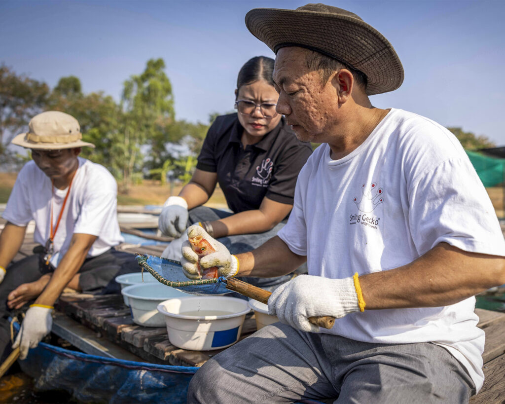 Hands-on work together at a fish pond.
