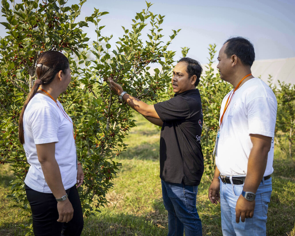 An instructor explaining plant care to two trainees.